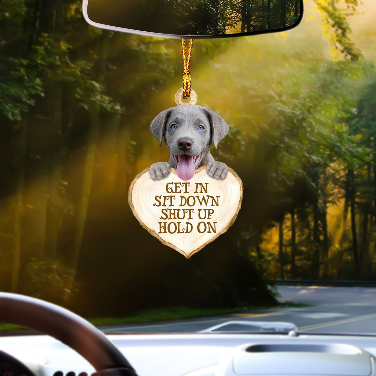 Lavado Heart Shape Get In Car Hanging Ornament