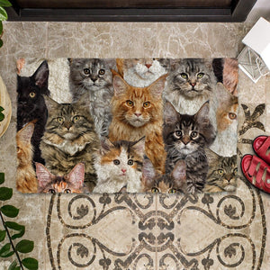 A Bunch Of Maine Coon Cats Doormat
