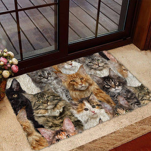 A Bunch Of Maine Coon Cats Doormat