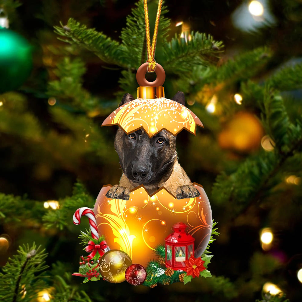 Malinois In Golden Egg Christmas Ornament