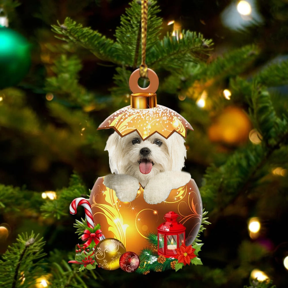 Maltese In Golden Egg Christmas Ornament