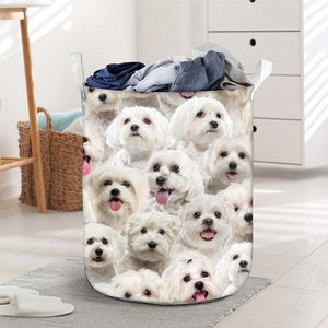 A Bunch Of Malteses Laundry Basket