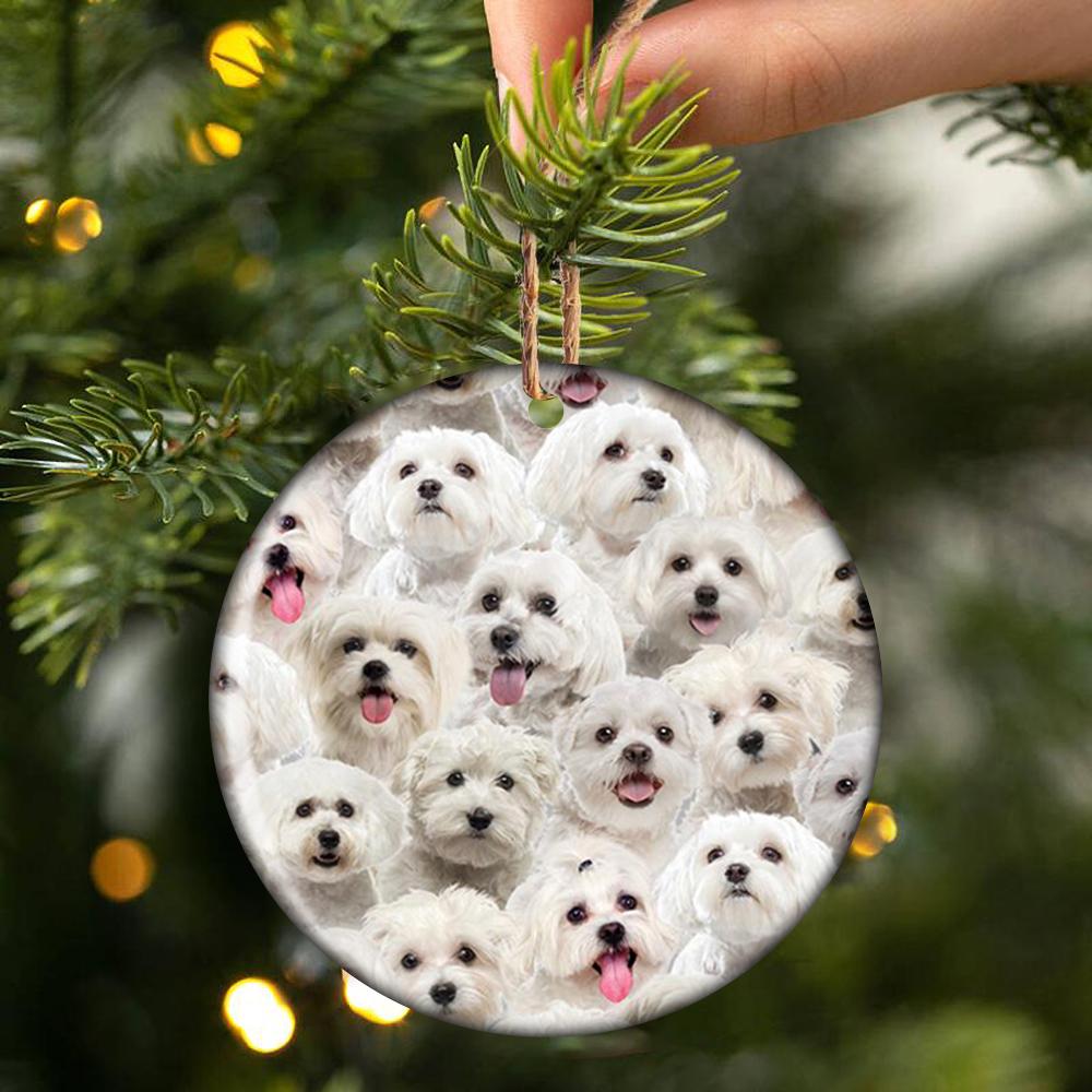 A Bunch Of Malteses Porcelain/Ceramic Ornament