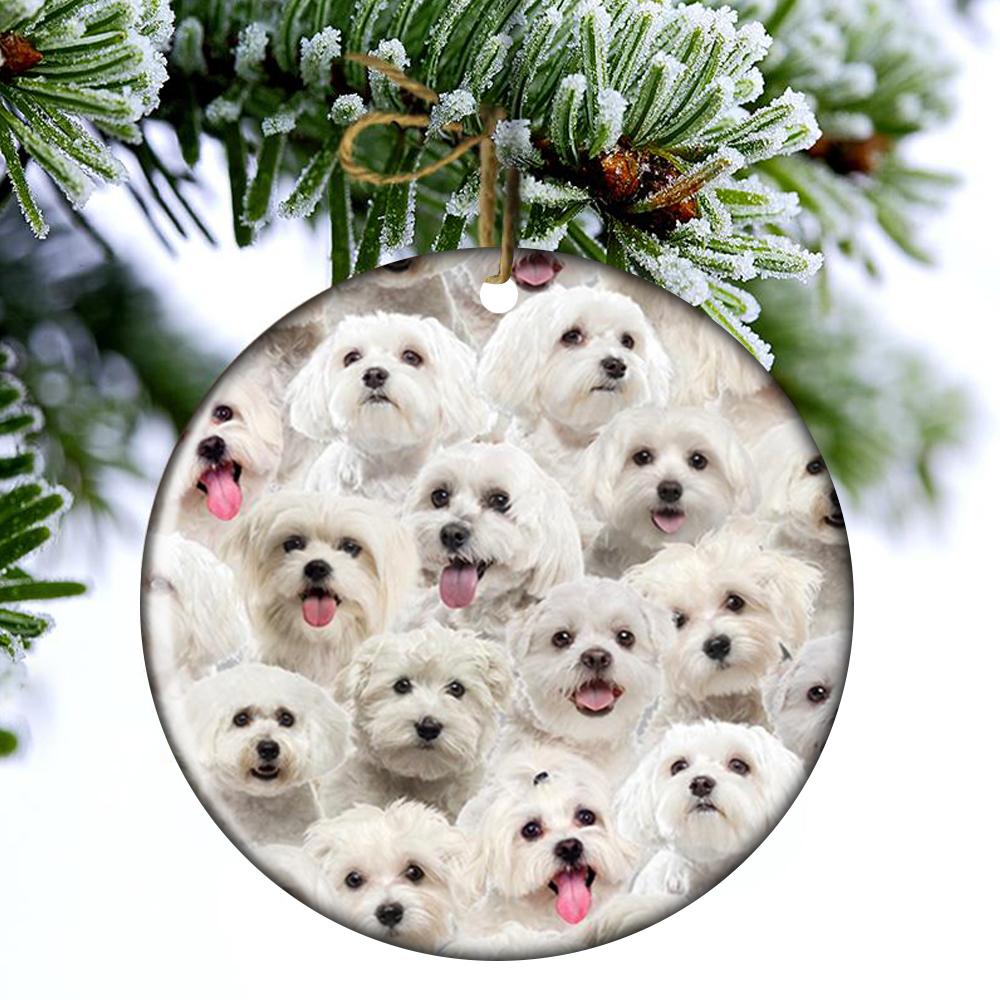 A Bunch Of Malteses Porcelain/Ceramic Ornament