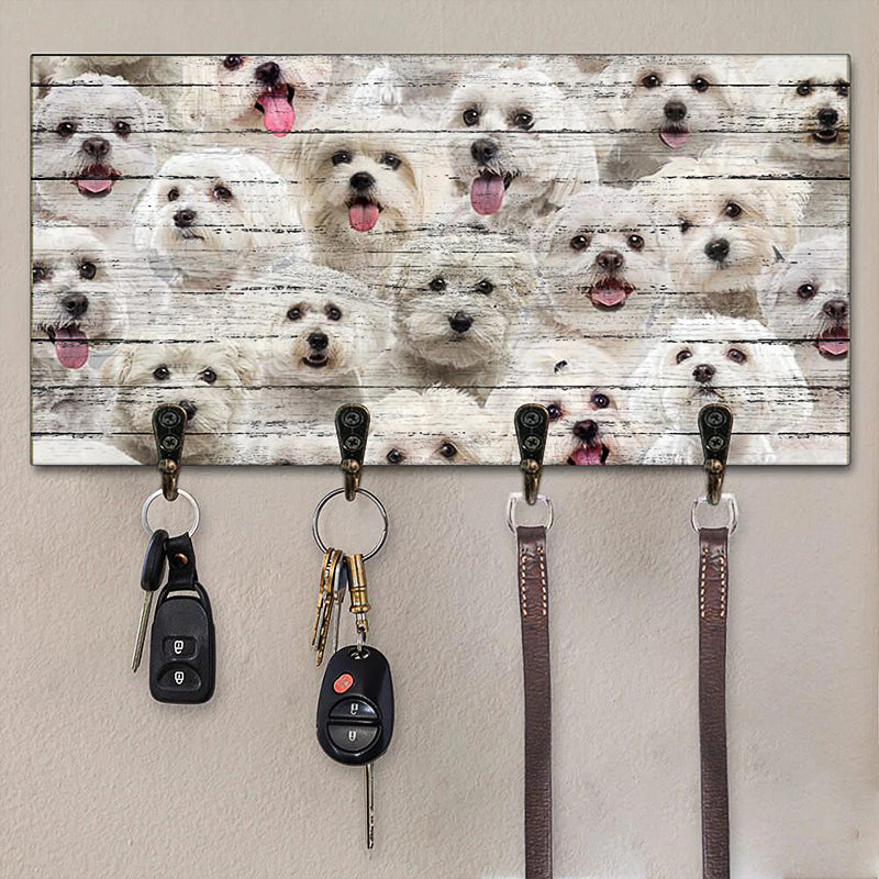 A Bunch Of Malteses Key Hanger