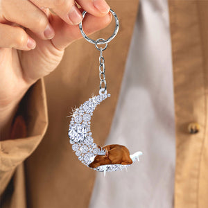 Miniature Pinscher Sleeping On A Diamond Moon Acrylic Keychain