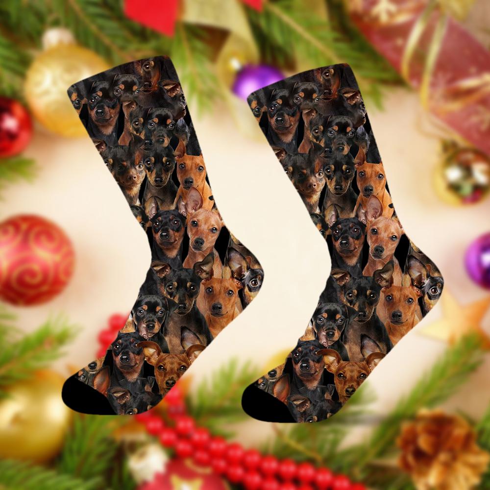A Bunch Of Miniature Pinschers Socks