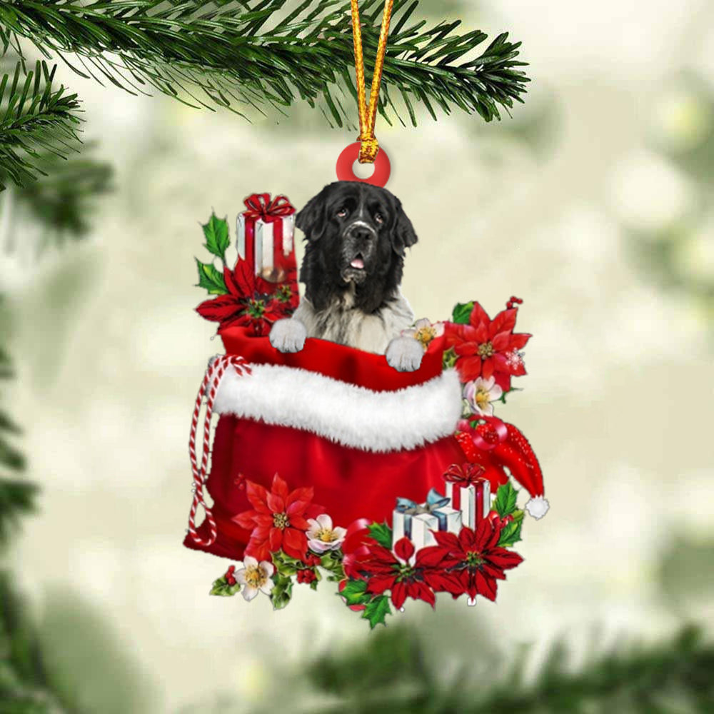 Newfounderland In Gift Bag Christmas Ornament