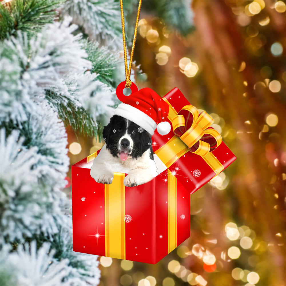 Newfoundland In Red Gift Box Christmas Ornament