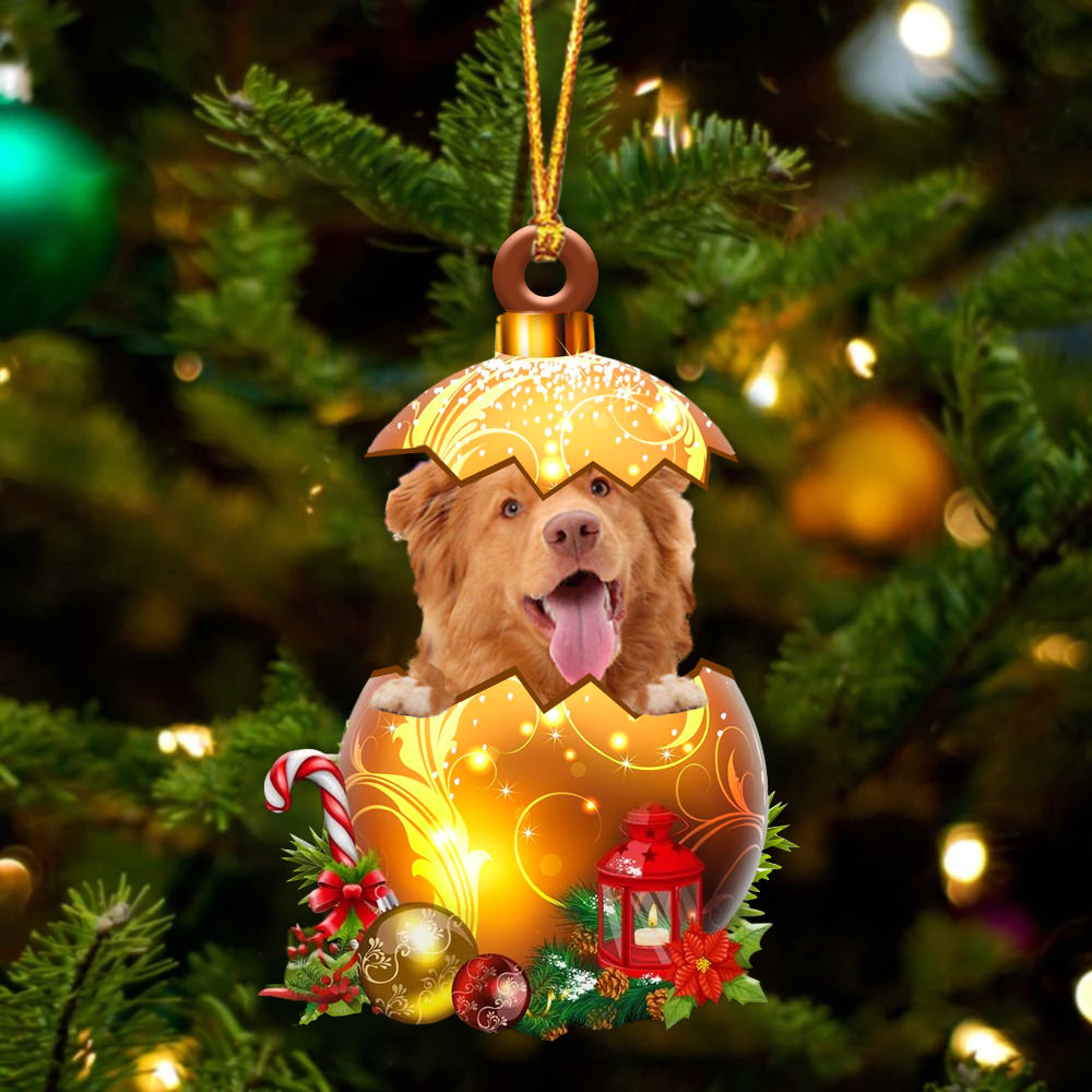 Nova Scotia Duck Tolling Retriever In Golden Egg Christmas Ornament