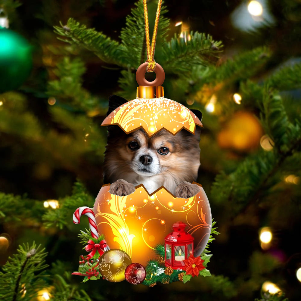 Papillon ... In Golden Egg Christmas Ornament