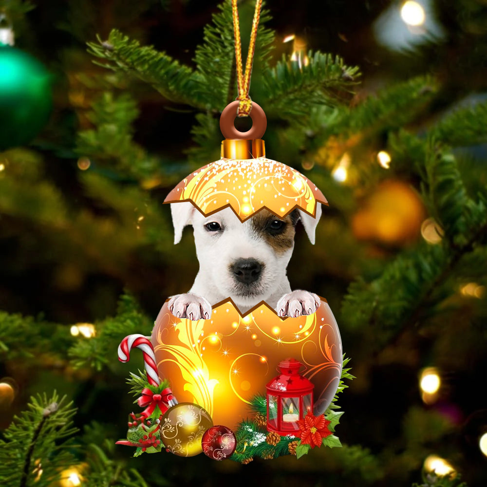 Parson Russell Terrier In Golden Egg Christmas Ornament