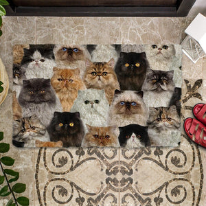 A Bunch Of Persian Cats Doormat