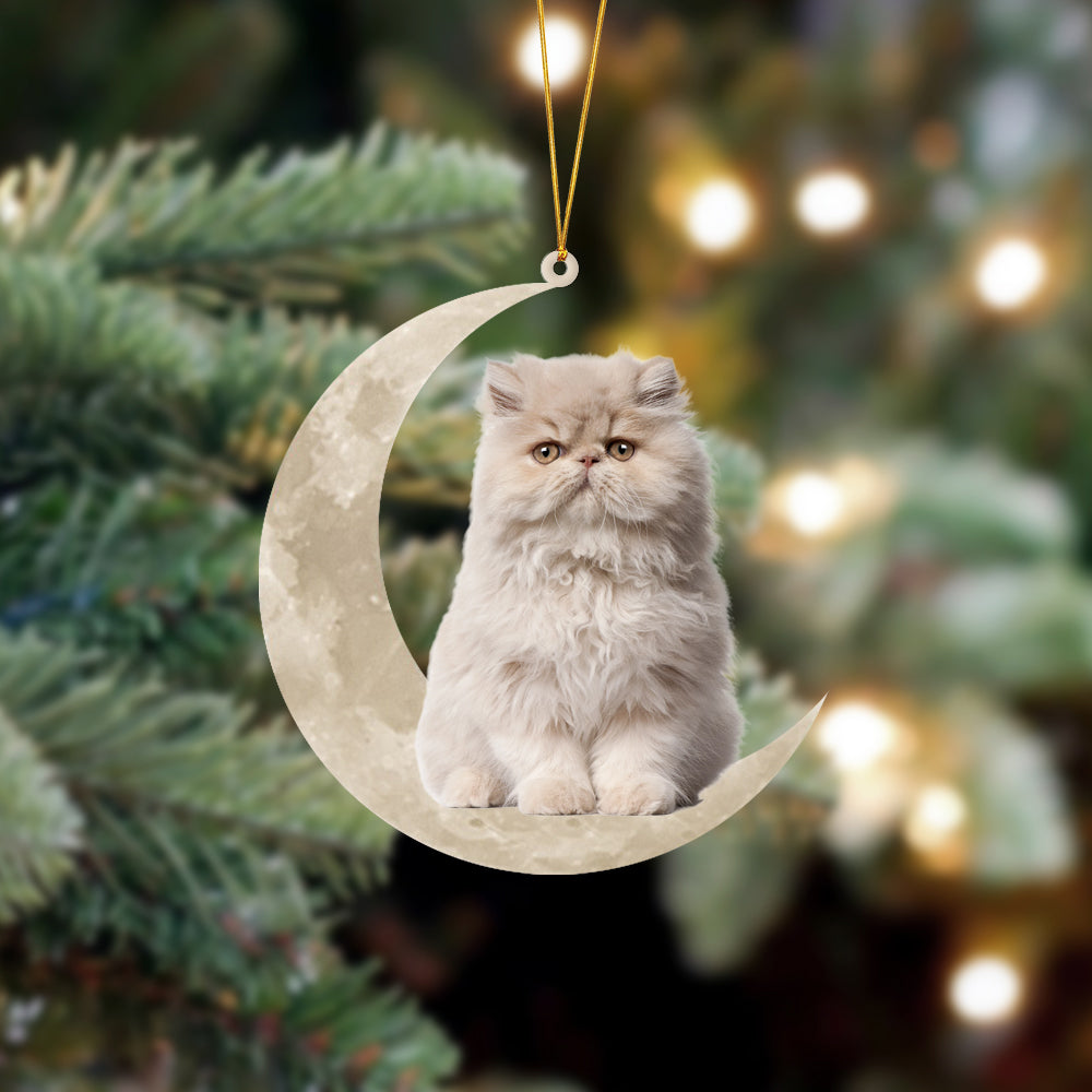 Persian Cat Sits On The Moon Hanging Ornament