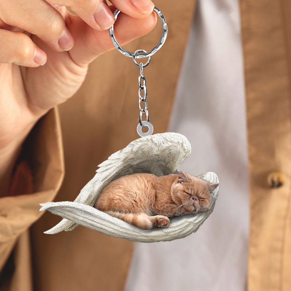 Persian Cat Sleeping Angel Acrylic Keychain