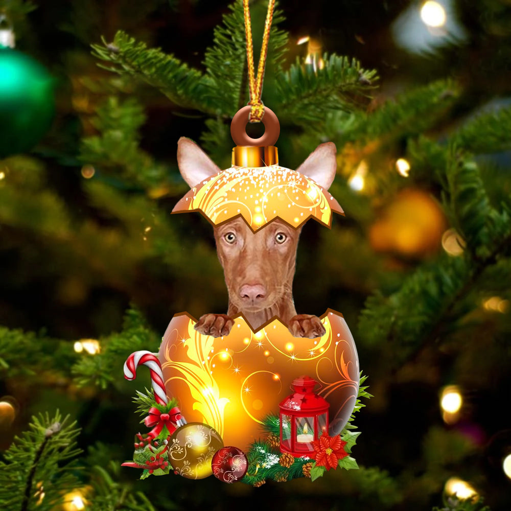 Pharaoh Hound In Golden Egg Christmas Ornament