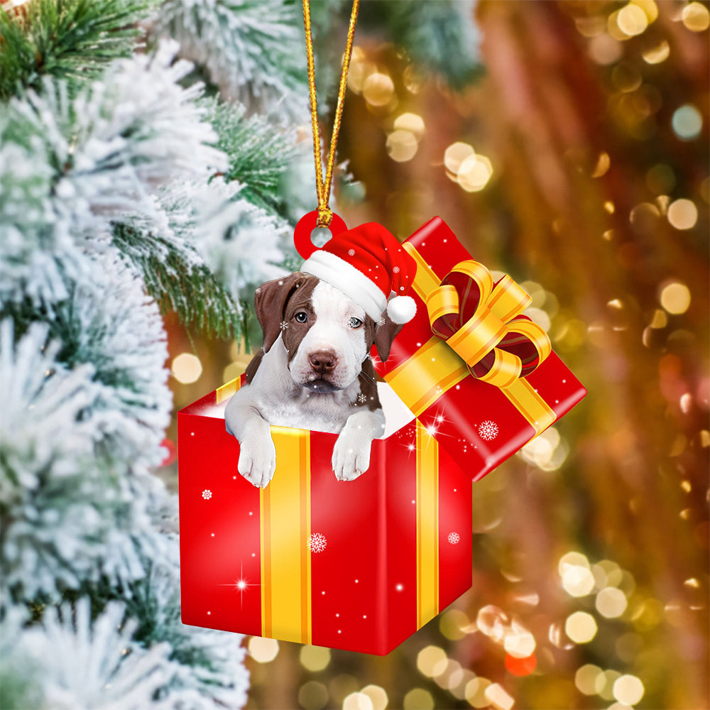 Pitbull2 In Red Gift Box Christmas Ornament