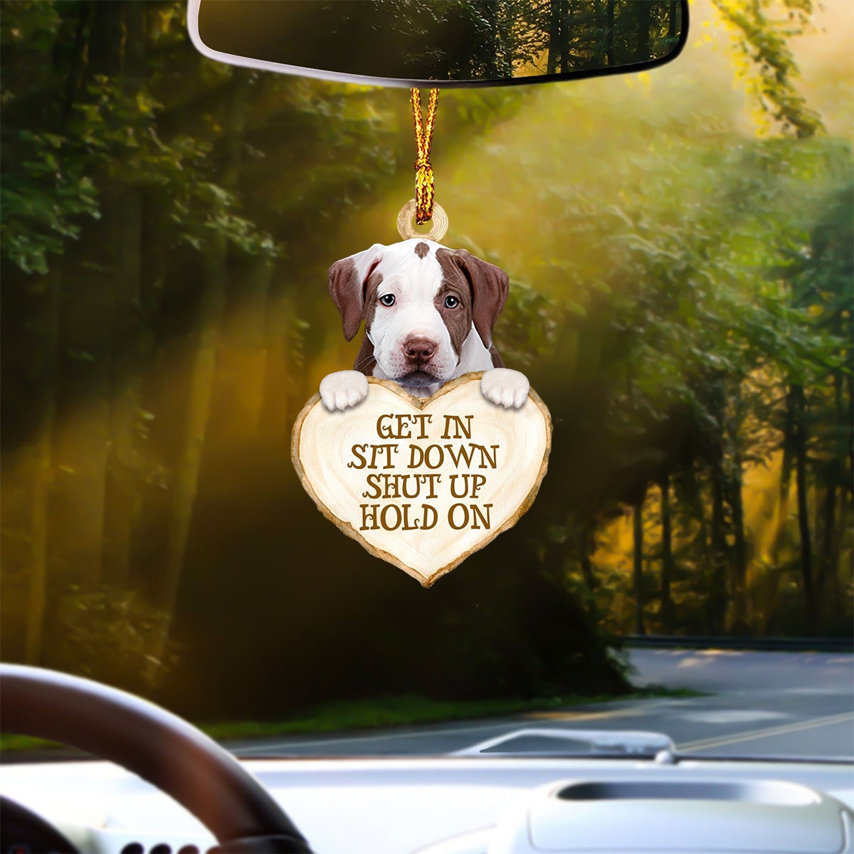 Pitbull 2 Heart Shape Get In Car Hanging Ornament