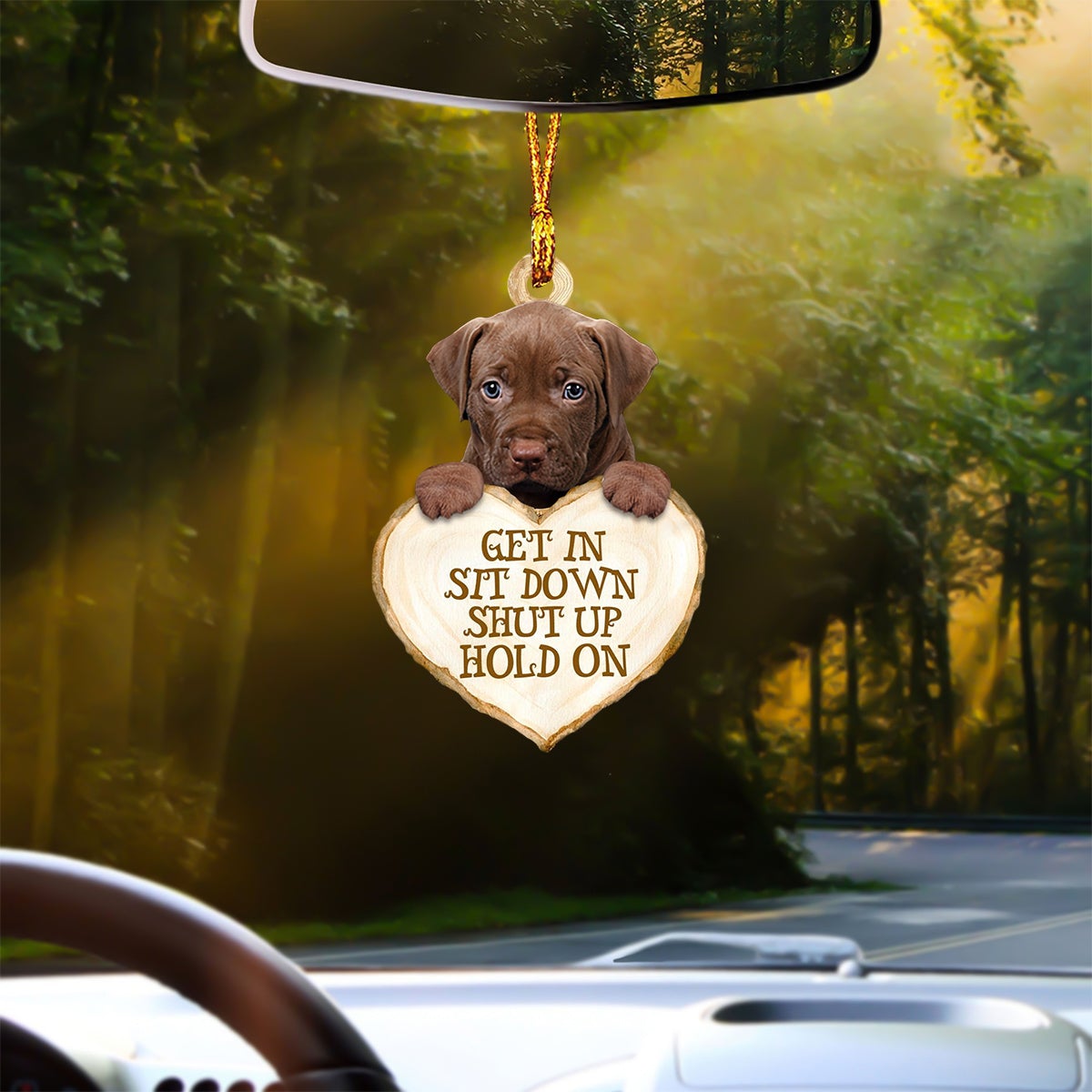 Pitbull Heart Shape Get In Car Hanging Ornament