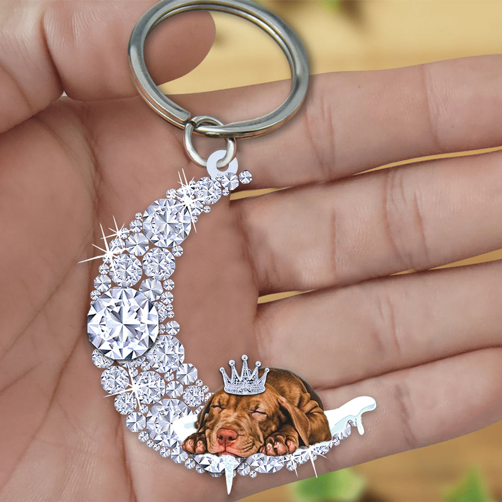 Pitbull Sleeping On A Diamond Moon Acrylic Keychain