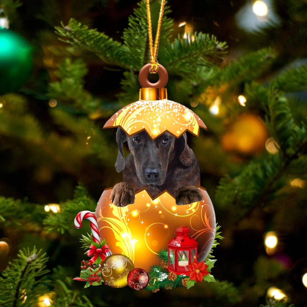 Plott Hound In Golden Egg Christmas Ornament