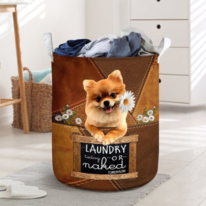 Pomeranian Laundry Today Or Naked Tomorrow Laundry Basket