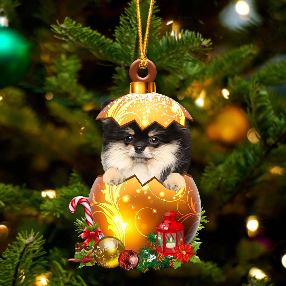 Pomeranian In Golden Egg Christmas Ornament
