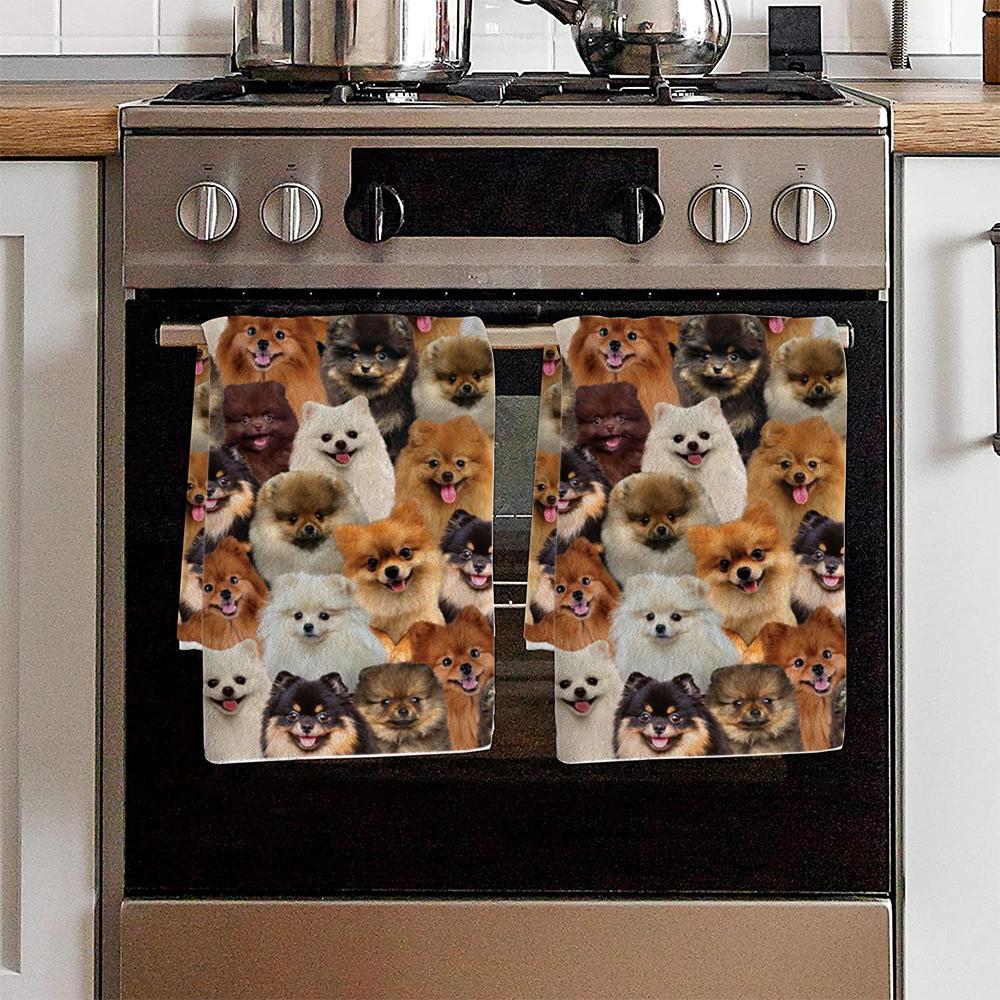 A Bunch Of Pomeranians Kitchen Towel