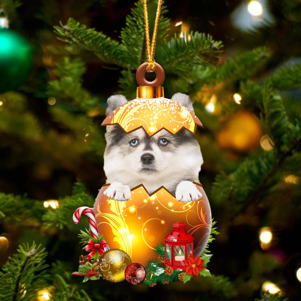 Pomsky In Golden Egg Christmas Ornament