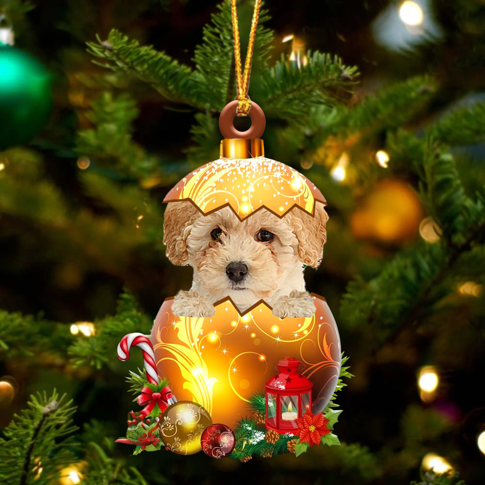 Poochon In Golden Egg Christmas Ornament