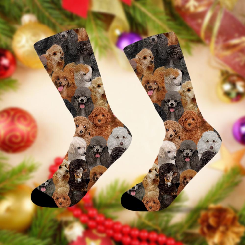 A Bunch Of Poodles Socks