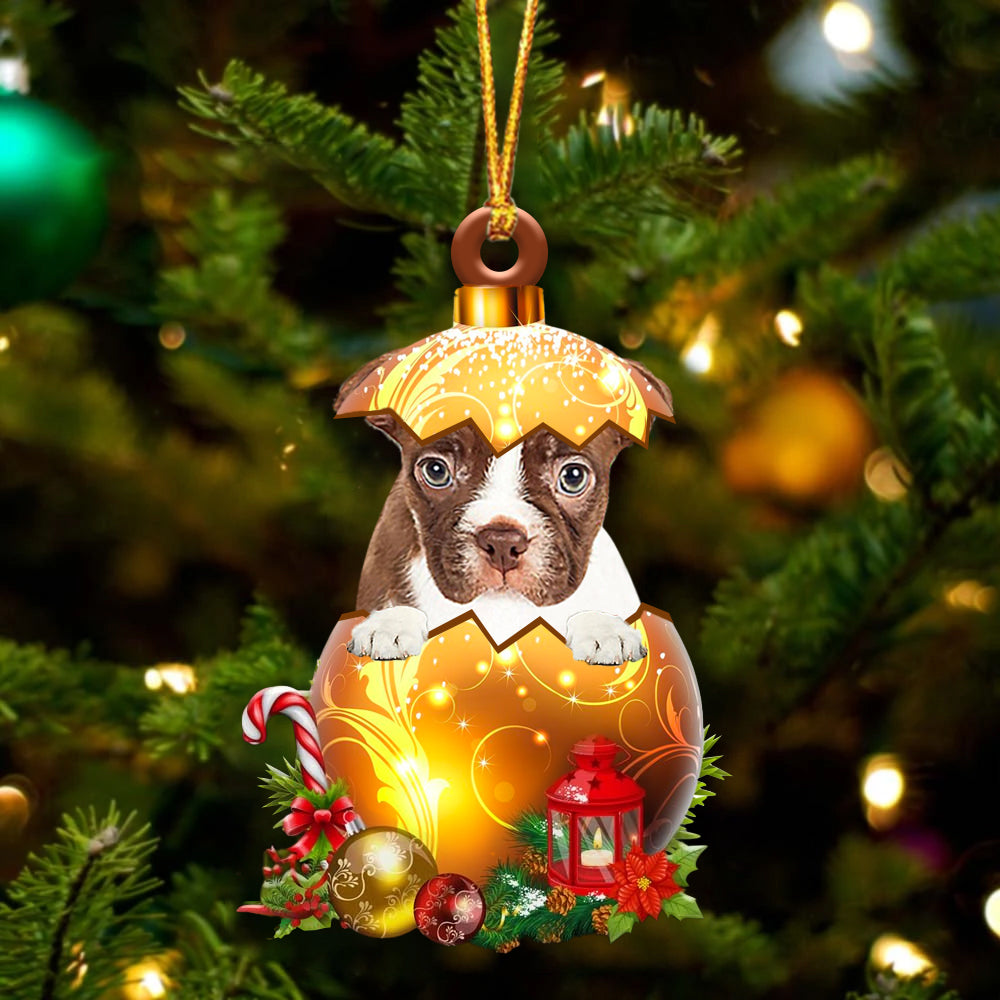 RED Boston Terrier In Golden Egg Christmas Ornament
