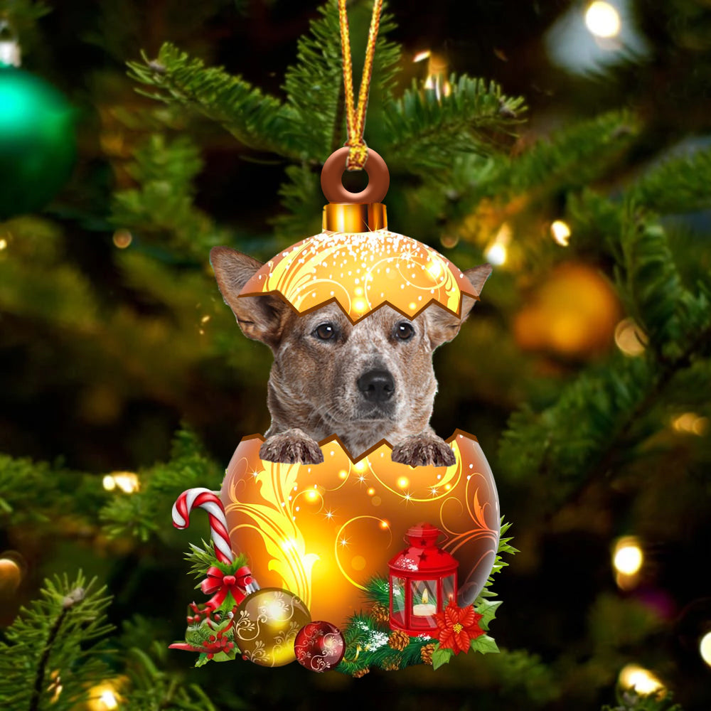 RED Heeler In Golden Egg Christmas Ornament