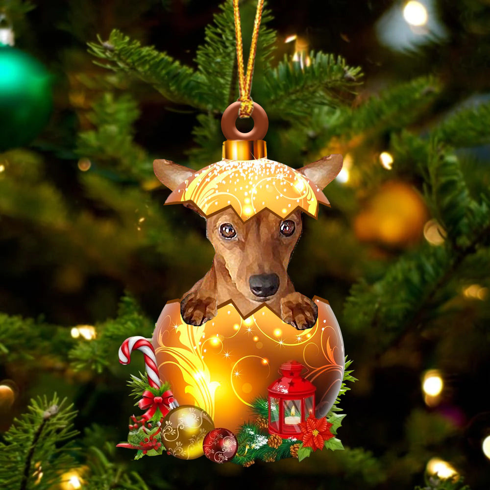 RED Miniature Pinscher In Golden Egg Christmas Ornament