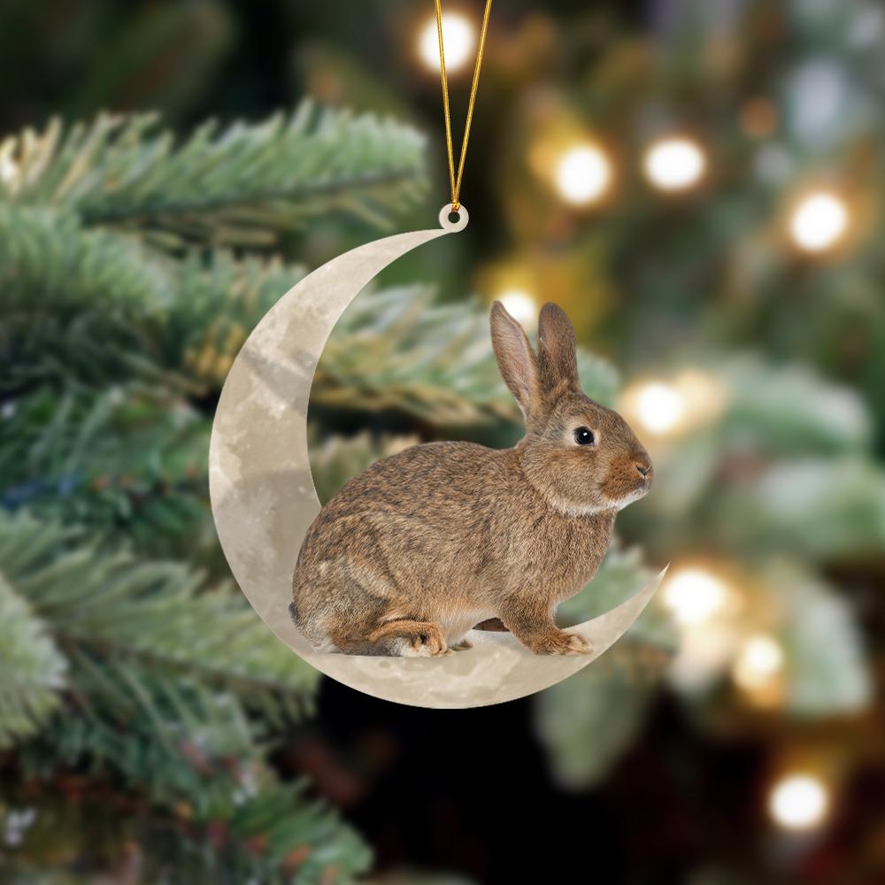 Rabbit Bunny Sits On The Moon Hanging Ornament