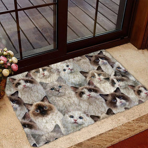 A Bunch Of Ragdoll Cats Doormat