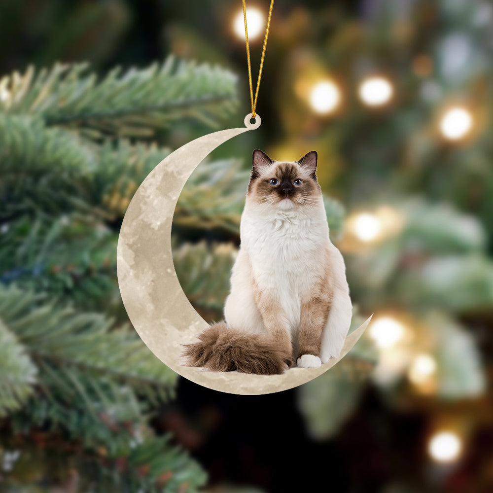 Ragdoll Cat Sits On The Moon Hanging Ornament