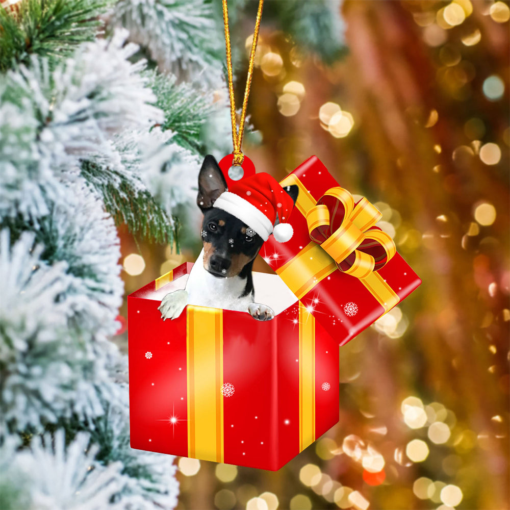 Rat Terrier08 In Red Gift Box Christmas Ornament
