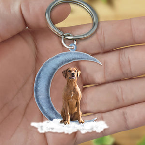 Red Fox Lab On The Moon Flat Acrylic Keychain