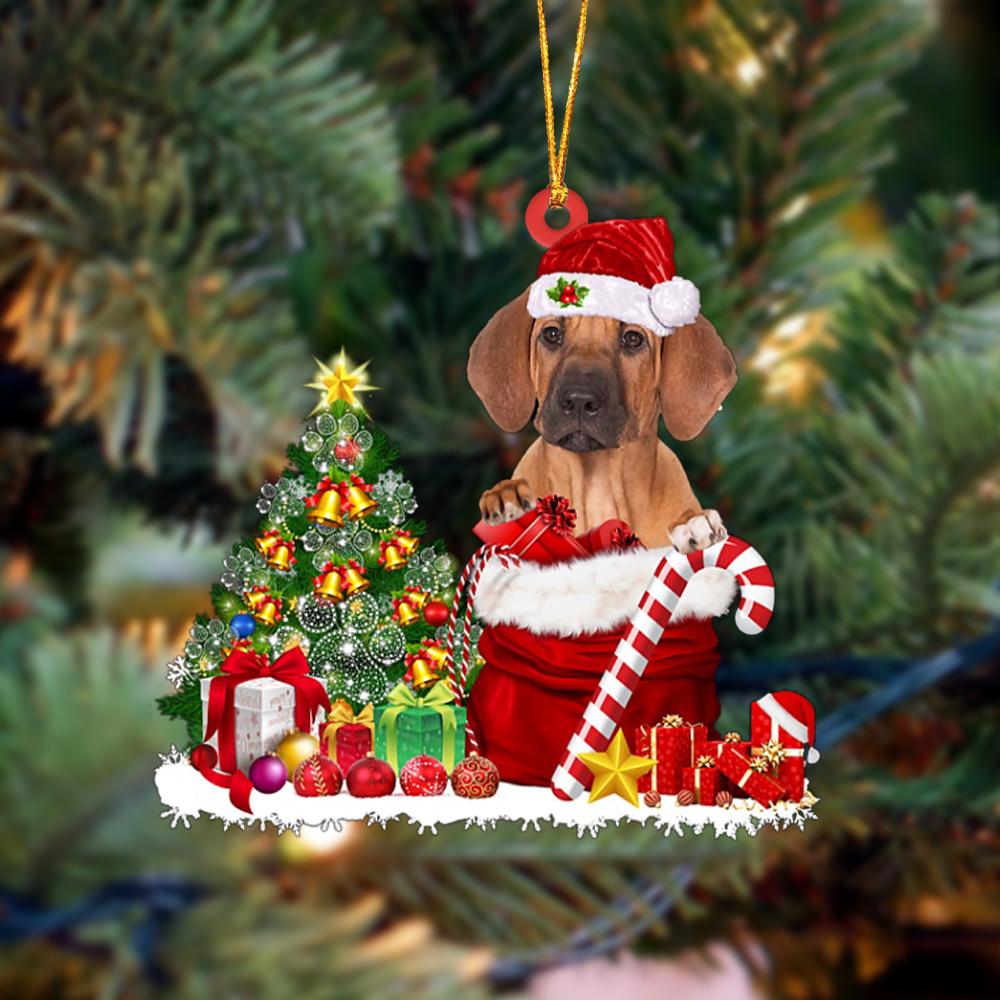 Rhodesian Ridgeback Gift Bag Merry Christmas Ornament