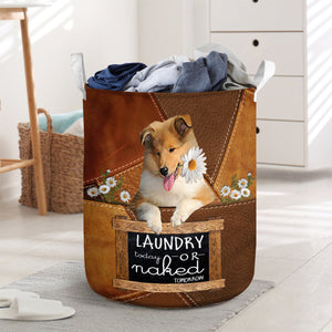 Rough Collie Laundry Today Or Naked Tomorrow Laundry Basket