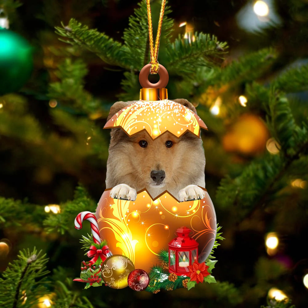 Rough Collie In Golden Egg Christmas Ornament