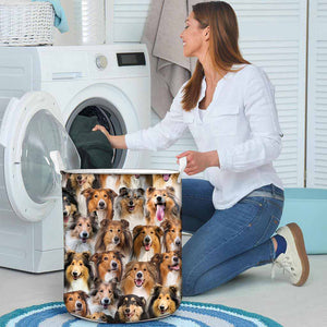 A Bunch Of Rough Collies Laundry Basket
