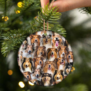 A Bunch Of Rough Collies Porcelain/Ceramic Ornament