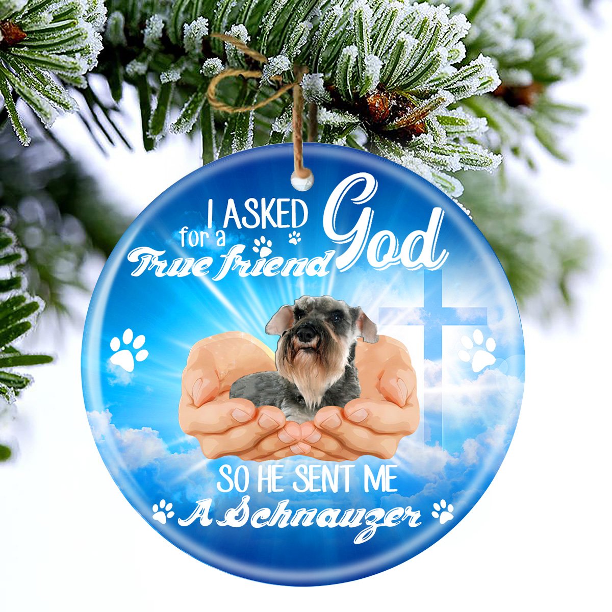God Send Me A/An Schnauzer Porcelain/Ceramic Ornament