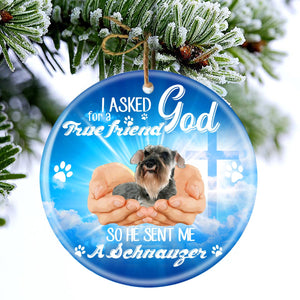 God Send Me A/An Schnauzer Porcelain/Ceramic Ornament