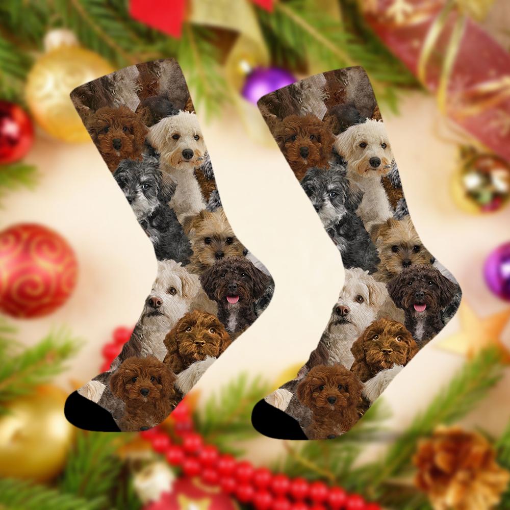 A Bunch Of Schnoodles Socks