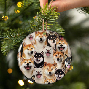 A Bunch Of Shiba Inus Porcelain/Ceramic Ornament