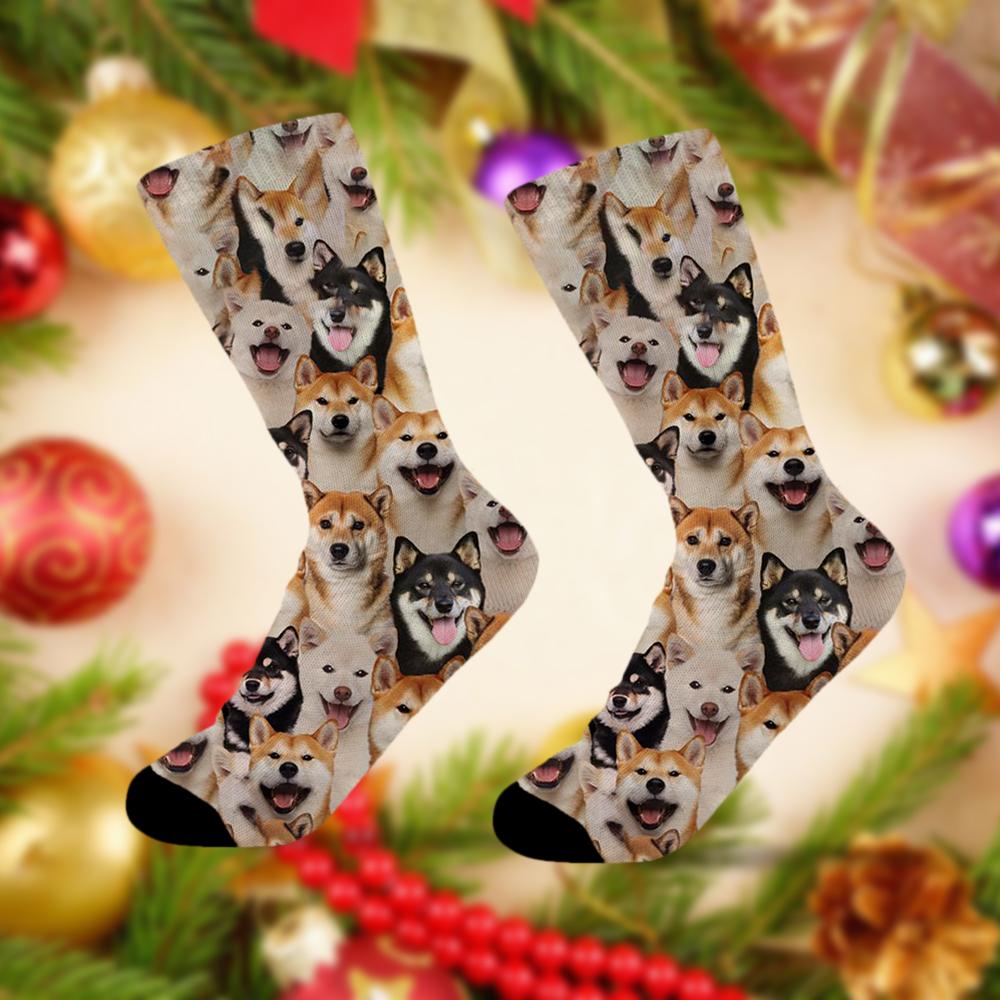 A Bunch Of Shiba Inus Socks