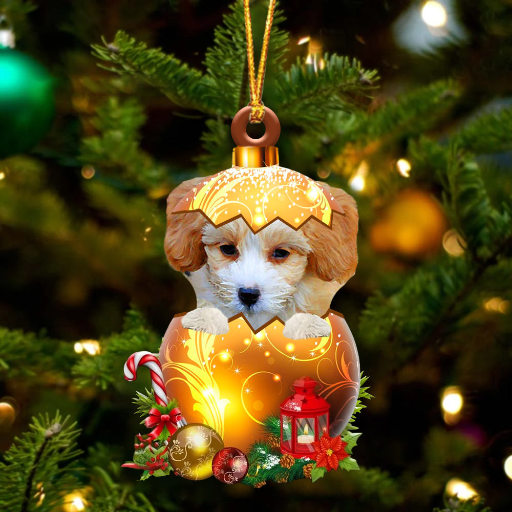 Shih Poo In Golden Egg Christmas Ornament